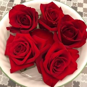 Meet your Posher, Lynn